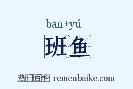 班鱼是什么意思的图片